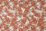Corail