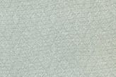 Eucalyptus