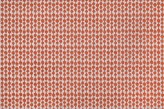 Corail