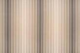 Avorio