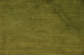 Verde  muschio