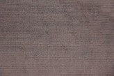 Grigio topo