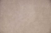 Beige grigiastro