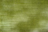 Verde Erba