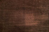 Corteccia