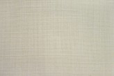 Cotone