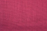 Lampone - Framboise