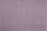 Viola chiaro - Violi