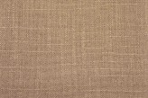 Iuta - Jute