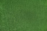 Erba