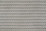 Grigio Topo