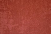 Coquelicot