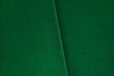 Chlorophylle