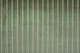 Forêt