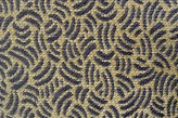 Savane