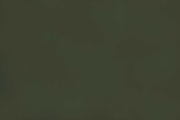 Loden