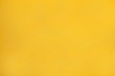 Tournesol