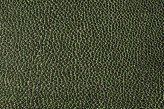 Forêt