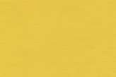 Tournesol
