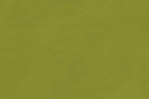 Citron Vert