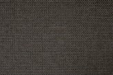 Wenge