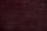 Porpora Violetto